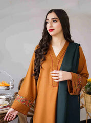 Dhanak 3PC Embroidered-889